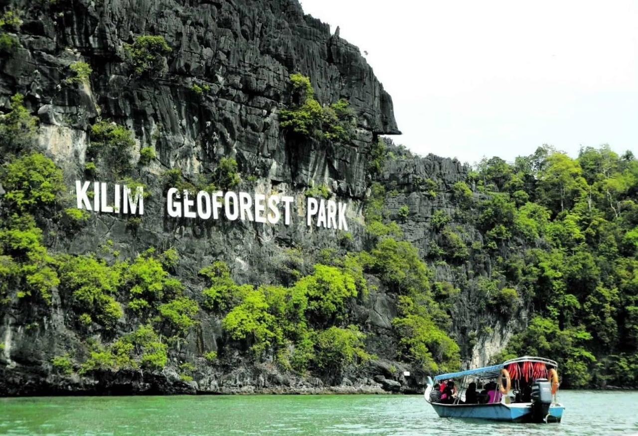 Jelajahi Ekosistem Langkawi yang Memesona dengan Mangrove Tour